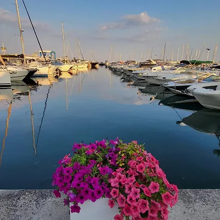 Beau T2 A Golfe-juan Vue Piscines Parc Tropical Du Golf Proches Plages * Vallauris