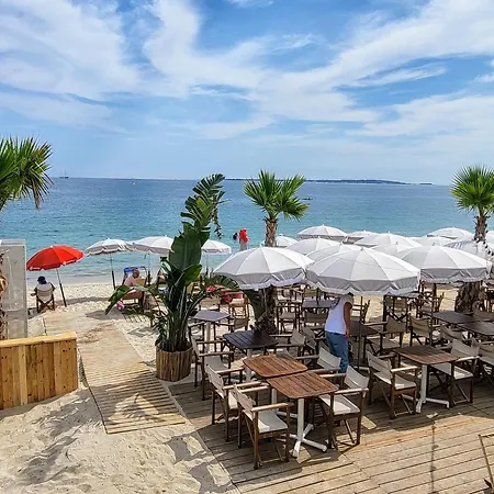 Beau T2 A Golfe-juan Vue Piscines Parc Tropical Du Golf Proches Plages Vallauris